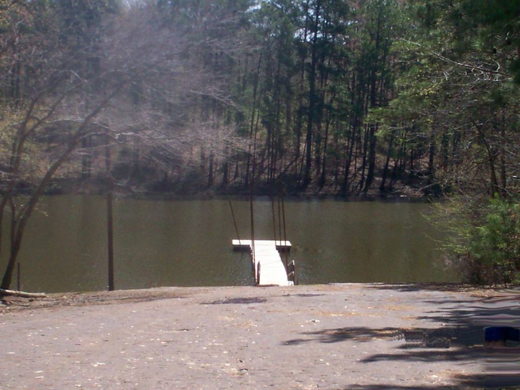 6 Tiny home land Lake O’ The Pines , Texas .28 Acres LAND IS HOME