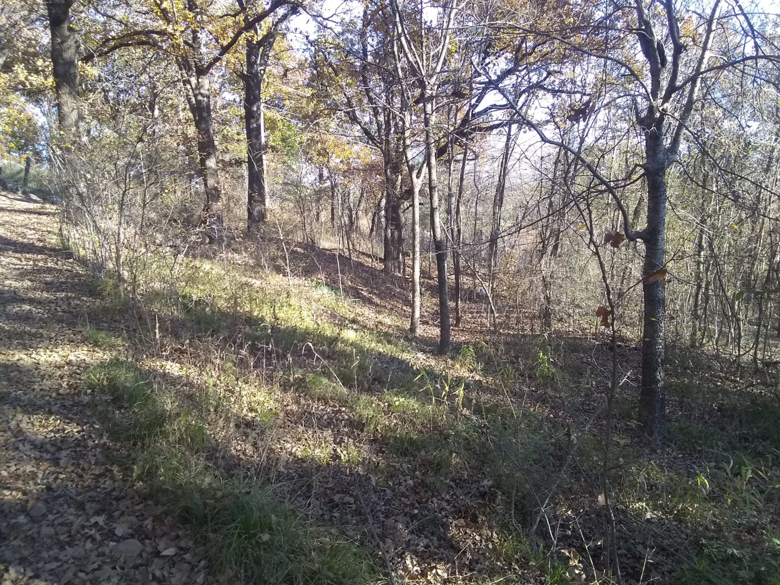 2 Camping/ Rv land lots Lake Eufaula , Oklahoma 2,769 sq.ft. LAND