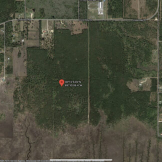 2 Off Grid Lots - Ansley, Mississippi- .11 Acres