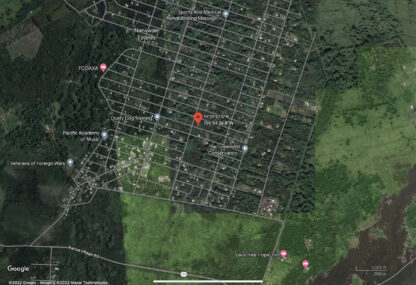 Residential Land - Pahoa , Hawaii - 8,040 sq.ft. - Image 10