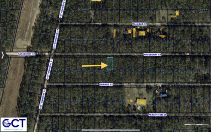 Residential Lot , Bay St. Louis , MS. - 5,249 sq.ft. - Image 6