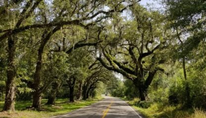 Residential Land , Pearlington , MS. - 4,918 sq.ft. - Image 16
