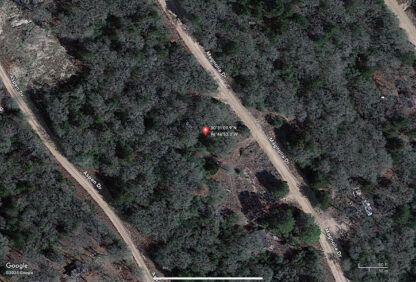 Lake Community Land , Caldwell , Texas - 6,912 sq.ft. - Image 4
