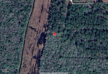 Residential Land - Bay St. Louis, MS. - 5,500 sq.ft. - Image 12