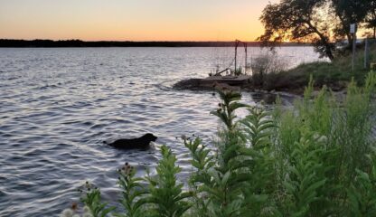 Tiny Home Land - Brownwood , TX. - 10,000 sq.ft. - Image 15