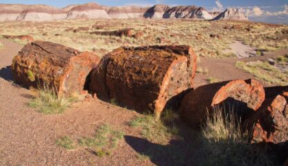 Big Off Grid Land - Holbrook , AZ. - 2.2 Acres - Image 14