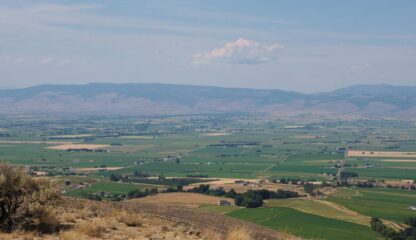 Agricultural Land - Ellensburg , WA. - .46 Acres - Image 8