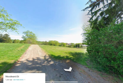 2 Conservation Lots - Brownsville , PA. - 12,500 sq.ft.