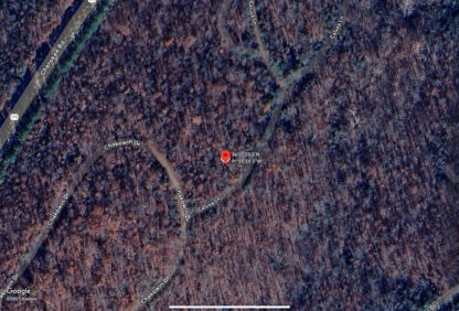 Residential Land - Cherokee Village , AR. - 11,761 sq.ft. - Image 11