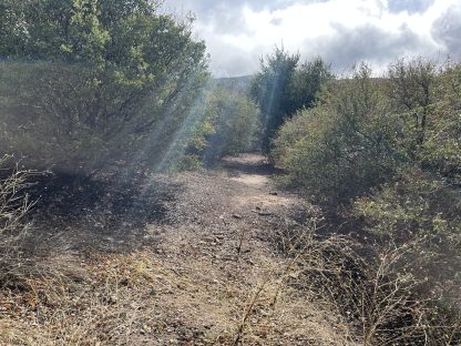 Undeveloped Land - Julian , California - 3,484 sq.ft. - Image 24