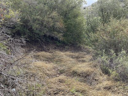 Undeveloped Land - Julian , California - 3,484 sq.ft. - Image 5