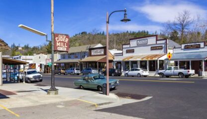 Undeveloped Land - Julian , California - 3,484 sq.ft. - Image 13