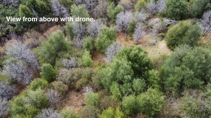 Undeveloped Land - Julian , California - 3,484 sq.ft. - Image 6