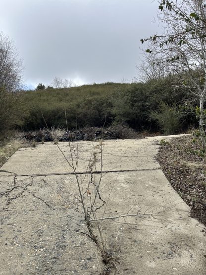 Mountain Land Lot - Julian , CA. - 1,742 sq.ft. - Image 17
