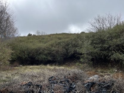 Mountain Land Lot - Julian , CA. - 1,742 sq.ft. - Image 19
