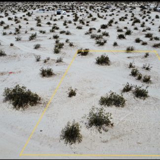 Rv Camping Land - Borrego Springs , CA. - 5,595 sq.ft.