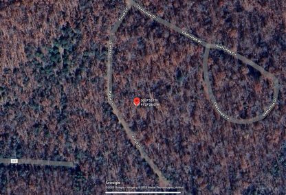 Lake Community Land - Ash Flat , AR. - 12,196 sq.ft. - Image 8