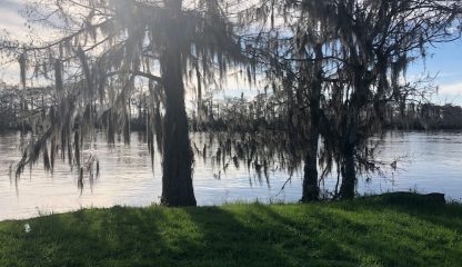 Residential Lot - Pearlington , MS. - 3,151 sq.ft. - Image 18