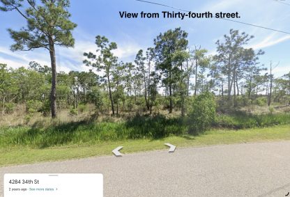 16 Land Lots - Ansley , MS. - .91 Acres - Image 7