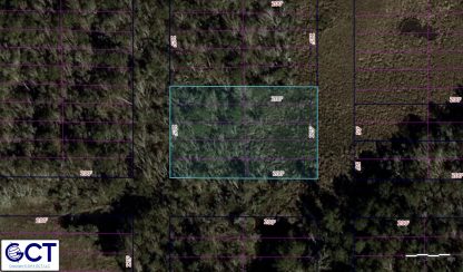 10 Land Lots - Ansley , MS. - 25,000 sq.ft. - Image 11