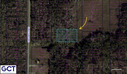 10 Land Lots - Ansley , MS. - 25,000 sq.ft.