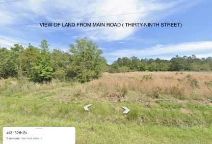 10 Land Lots - Ansley , MS. - 25,000 sq.ft. - Image 8