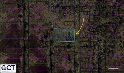 10 Land Lots - Ansley , MS. - 26,241 sq.ft. - Image 15