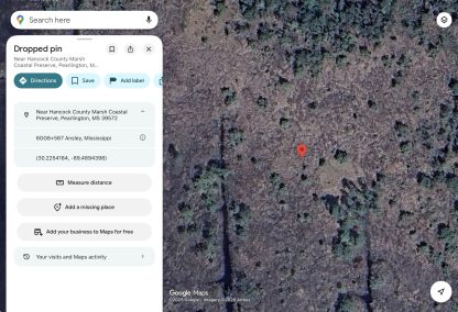 10 Land Lots - Ansley , MS. - 26,241 sq.ft. - Image 12