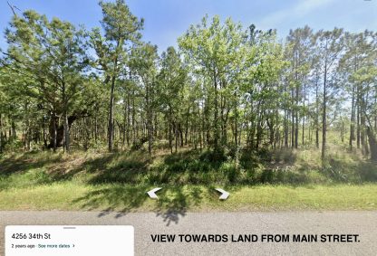 10 Land Lots - Ansley , MS. - 26,241 sq.ft. - Image 5